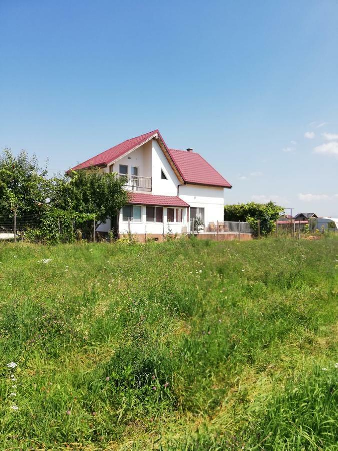 Vila Ekooos ブラショフ エクステリア 写真